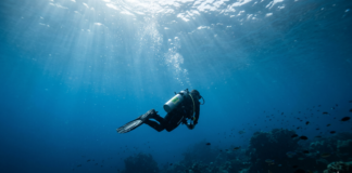 Dive deeper into momentum investing and its long-term potential. Dive deeper into momentum investing and its long-term potential.