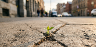 The Power of Less: 25 Small Changes to Create Big Impact The Power of Less: 25 Small Changes to Create Big Impact